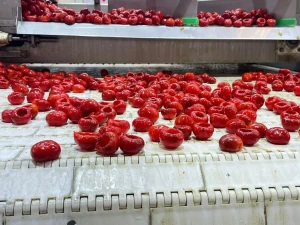 cherry pepper