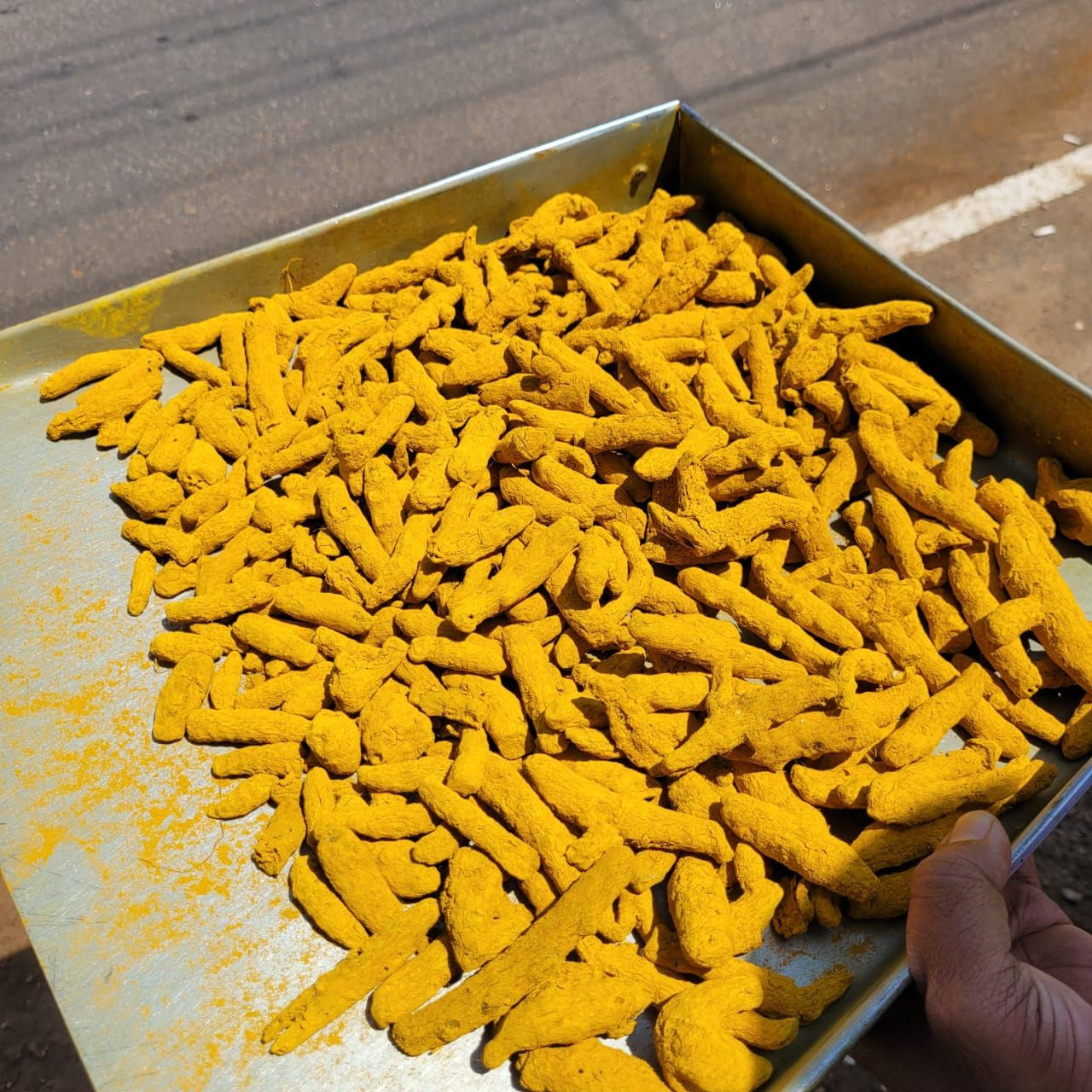 Buy Indian Turmeric Fingers – High Curcumin Content, Bright Yellow ...
