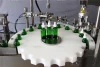 Reliance RVF 1 Oz eliquid glass dropper bottle filling capping machine