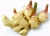 Import 100% Natural Factory Supply Gingerols 10% 15% 20% Ginger Extract from China