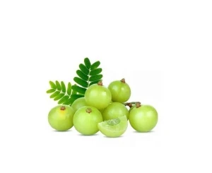 100% PURE AMLA HYDROSOL  FOR COSMETIC USE, SKIN &amp; HAIR CARE/BEAUTY CARE