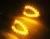 Import 12 LED Turn Signal Indicators Light Hollow diamond Indicator Lamp for Motorcycle from China