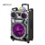 Import 12inch plastic BT rechargeable trolley speaker portable audio equipment sound with Colorful lights from China