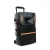Import 15 inch powerful wireless outdoor pa subwoofer trolley speaker from China
