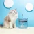 Import 1.6L Pet Products Dog Cat lntelligent Feeders Waterers Automatic Pet Water Feeder from China