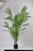 1.75 Meters Height Indoor Decorative Greenery Artificial Palm Tree with lots of Palm Leaves