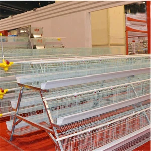 2018 new battery chicken layer cage sale for Nigeria, Ghana farm