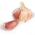 Import 2020 New Crop Good Quality Fresh Garlic from China