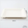 2021 Wholesale 8 Inch Bagasse Square Plate Tableware Plate Dinnerware Food Plate