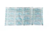 250g gel ice packs cool pack for frozen Food shipping