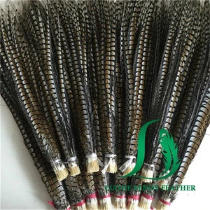 30-35cm cheap pheasant feather for carnival costumes