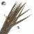 4-6 Inch(10-15 cm)Chinese Top Manufacturer Best Selling Cheap  Natural Reeves Pheasant Tail Feathers for hat and pen