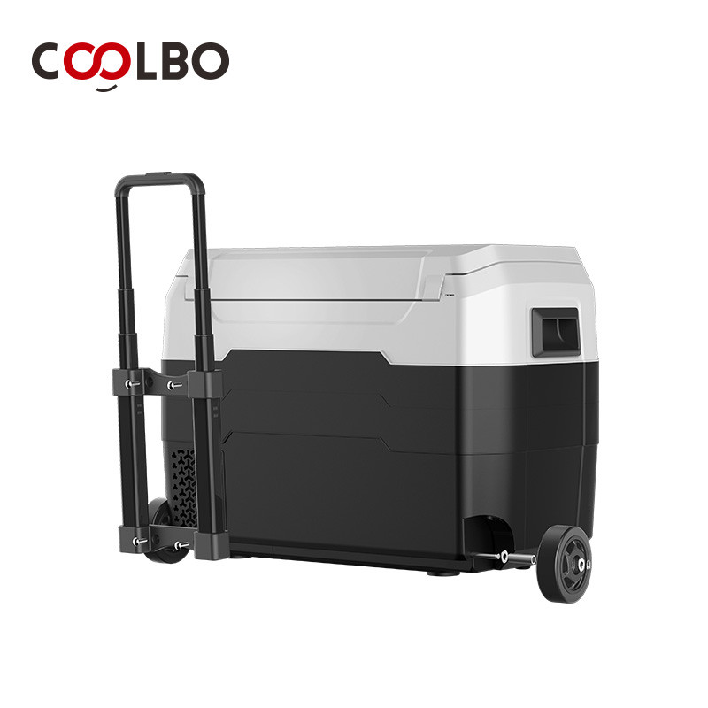 Buy 40l Car Fridge_compressor Coling To -18 Degrees Portable Freezer ...