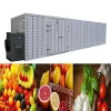 500kg food dehydrator industrial machine for tea fruit vegetable nut