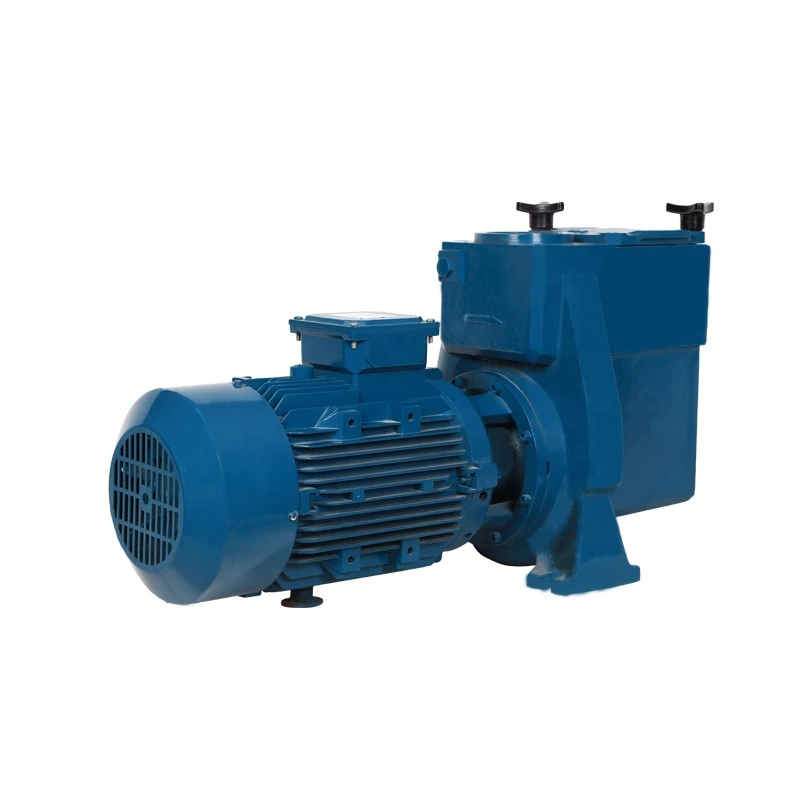 5.5 hp endless electric water pump for swimming pool