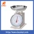 Import 5KG Mechanical Kitchen Scale from China