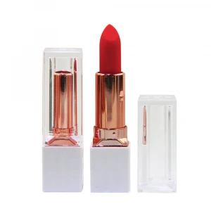 9 Colors Long Lasting Dark Red Vegan Cruelty Free Matte Lipsticks Private Label Waterproof Makeup Customize Brand Custom