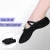 Import Adult/Children Ballet Dance Shoes Large Size 28-48 Canvas Leather Ballet Slippers Flats from China