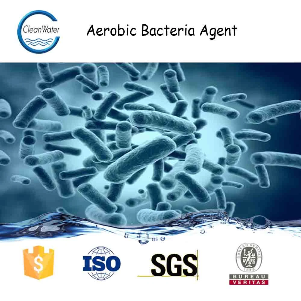 Aerobic Bacteria Agent Cleanwater Chemicals
