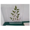 agricultural teaching plant life cycle specimen teaching resources plant acrylic embedded specimen