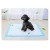 Import Amazon Basic Dog And Puppy Potty Training Pads Regular Absorbency Eco-friendly  Small Pet Pads from China