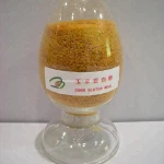 animal feed  XINGMAO brand corn gluten meal     corn gluten feed