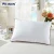 Import anti-apnea new style polyester/cotton dresses hawaii micro beads travel neck pillow from China