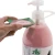 Import Anti-Bacteria Liquid Soap In Toilet Soap Anti-Microbial Hand Sanitizer Oil Dirt Hand Washing Liquid With Bacteriostasis from China