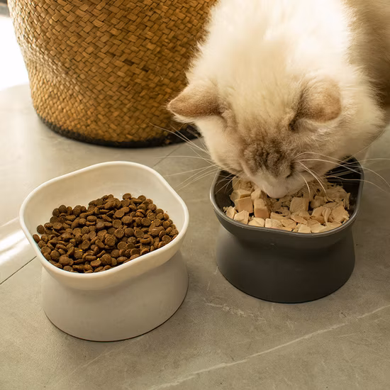 Anti-Knock Cat and Dog Pet Food Utensils