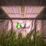 Archibald Greenhouse Indoor Plant Growing Tent Grow Tent 60X60 Grow Tent Complete Kit Greenhouse