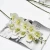 Artificial Phalaenopsis Flowers Branches Real Touch Orchids Flowers for Home Office Wedding Decoration