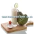 Import ATTRACTIVE FRESH SOURSOP WITH VERY COMPETITIVE PRICE from Vietnam