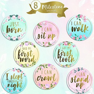 Buy Baby Monthly Milestone Stickers Premium Metallic Gold Floral ...