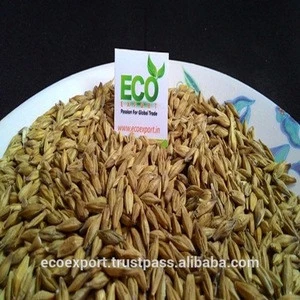 Barley (Animal Feed Grade)