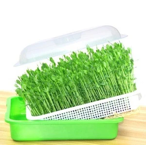 Basket bean Sprouts Plate Seeding Case Flower Plant Germination Grow Boxes