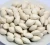 Import Best Of the Best Ginkgo Nuts ,Peeled Ginkgo Nuts,Raw Ginkgo Nuts from Canada