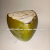 Best Quality Sweet water Fresh Green Tender Coconut