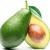 Import Best Selling Fresh Avocados For Sales from Canada