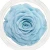Import Big Size Preserved Rose Flower Real Touch Giant Preserved Fresh Roses from China