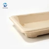biodegradable pulp bagasse food containers eco friendly sugarcane pulp bowl