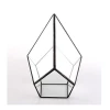 Black Luxury Metal and Glass Home Decor Terrarium Holder For Home Decor