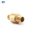 Import BOTE BT5012 CHINA supplier 1 2 3 4 inch M Male thread brass spring vertical lift brass check valve for water air toilet from China