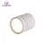 Import Brightness Indoor Exhibition Decoration Aluminum SMD Surface Mounted 5W LED Down Light from China