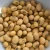Import Bulk Dried Yellow Soybeans for Sale from Brazil