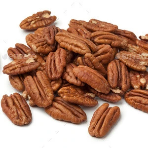 Bulk Good Quality Pecan Nut Roasted Salted Pecans/Raw Pecan Nuts With Shell For Sale