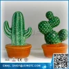 cactus artificiales,grafted cactus,outdoor cactus plants