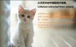 Cats Natural cellulose from wood for nutrition supplement