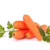 Cheap Carrot In Good Quality,China Fresh Carrot on best seller