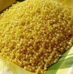 Cheap Price Millet Yellow Millet For Bird Seed