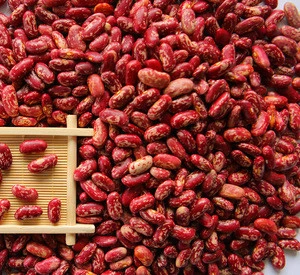 China Bean High Quality Speckled Kidney Beans